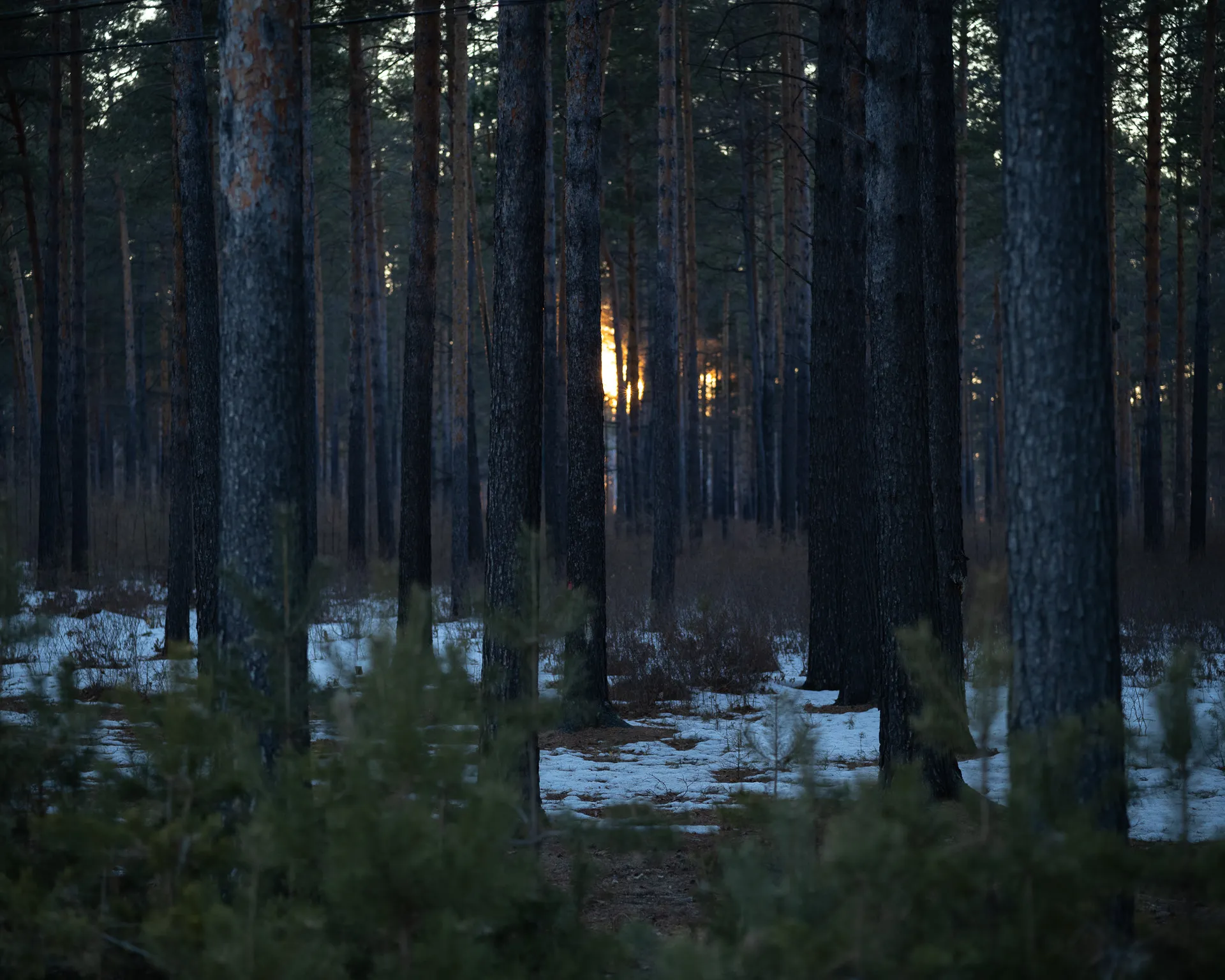 Sunset.